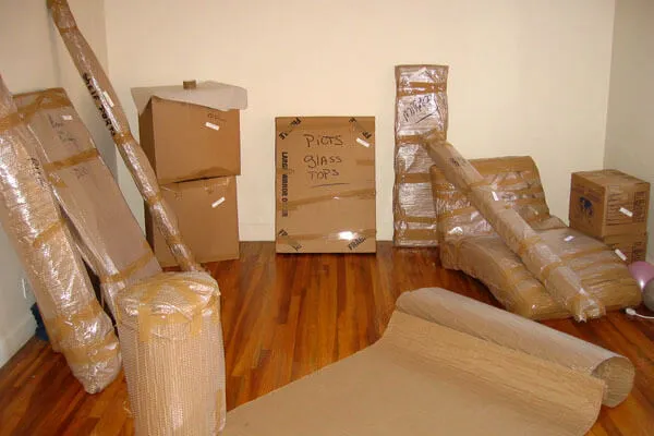 Professional Moving Team